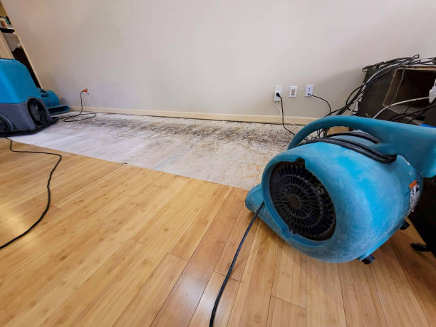 Professional Structural Drying technician working in Clear Lake, WI
